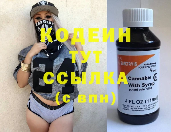 винт Лагань