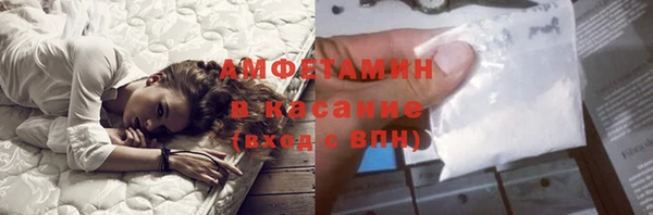винт Лагань