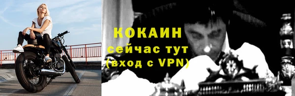 винт Лагань
