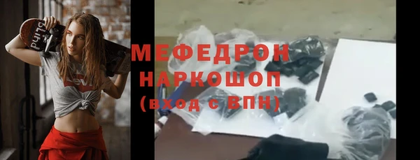 винт Лагань