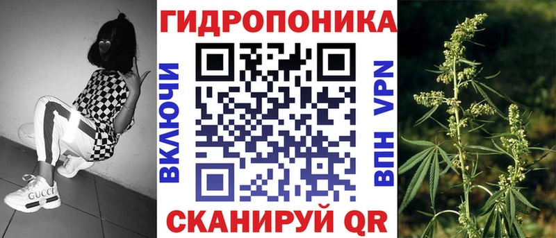 Бошки марихуана MAZAR  Купить закладки  Георгиевск 